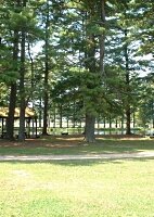 Picnic Area at Dufresne Park