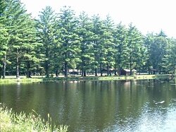 Pond at Dufresne Park